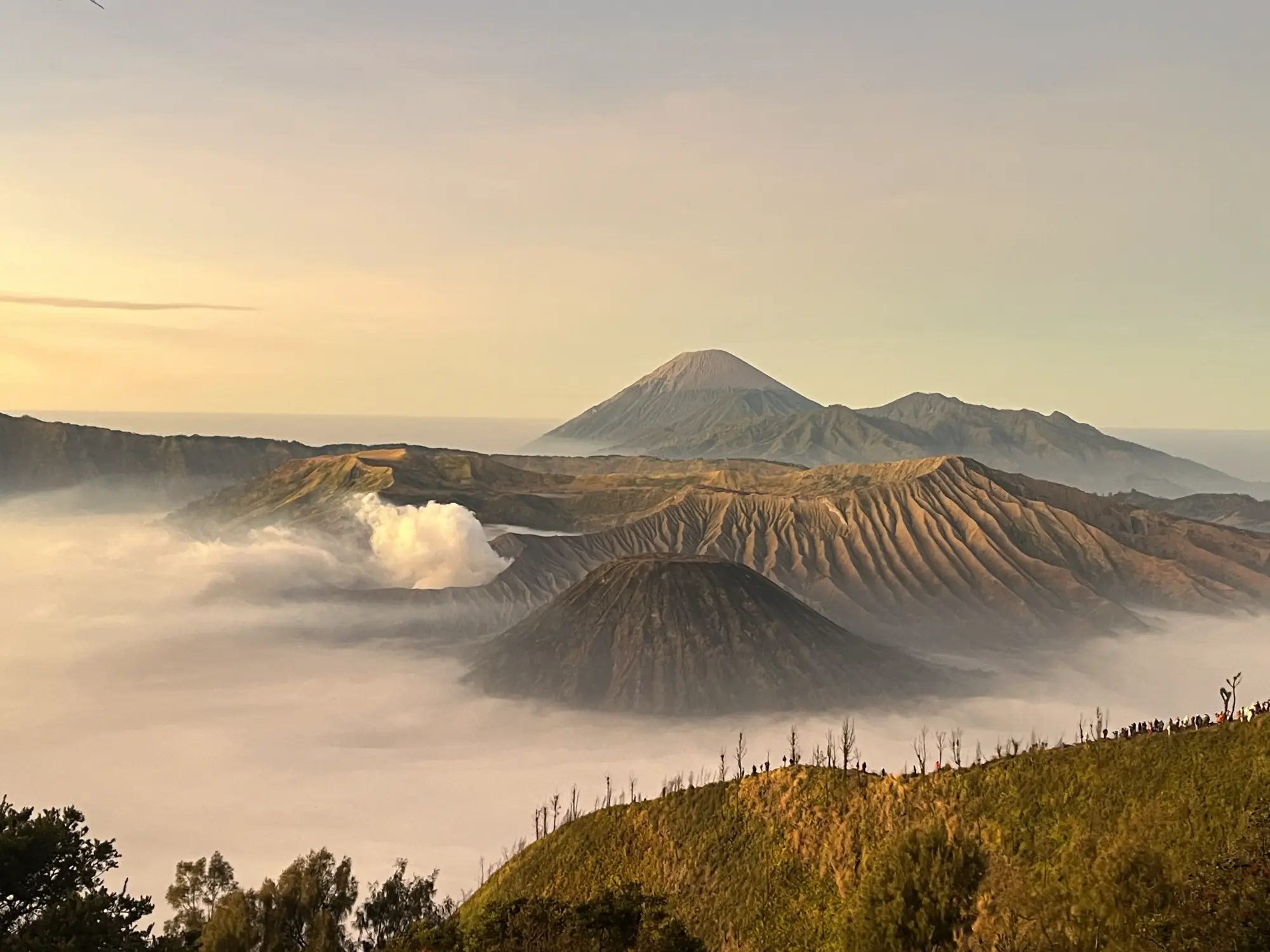 Bromo
