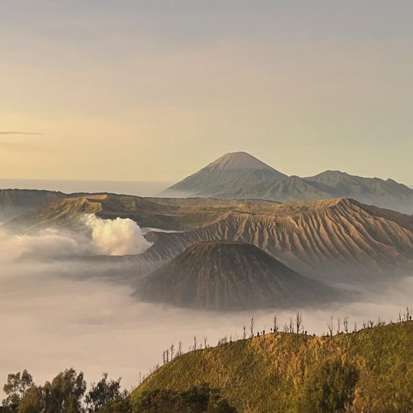 Bromo