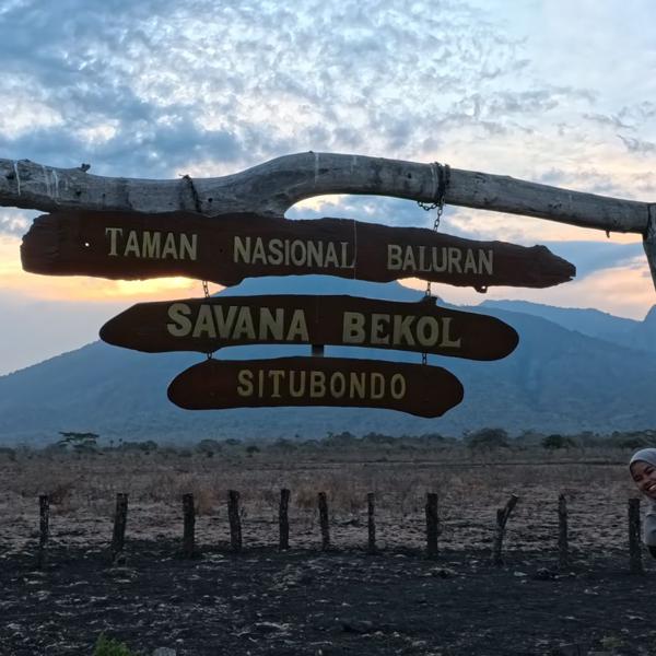 3 Days 2 Nights Explore Banyuwangi - Djawatan Forest, Green Island, Menjangan, Tabuhan, Baluran, and Ijen - Image 5