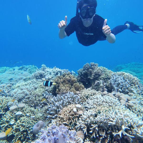 Snorkeling at Menjangan
